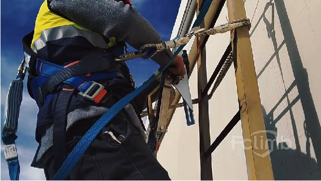 1758165295875942.png Workers equipped with safety harnesses when working on ladders